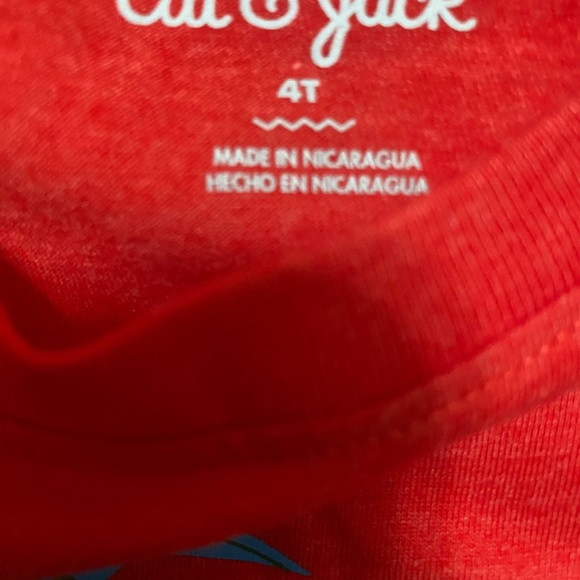 Cat & Jack T Shirt Boys 4T L/S Christmas Dinosaur Tetradactyl Graphic NWT - Picture 3 of 4